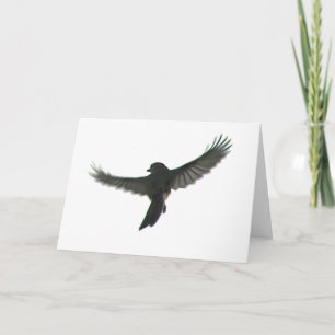 Tarjeta Observador de aves