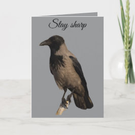 Tarjeta Observador Silencioso La Corneja Cuelliblanca