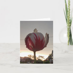 Tarjeta Obtén Un Trabajo, Hippie