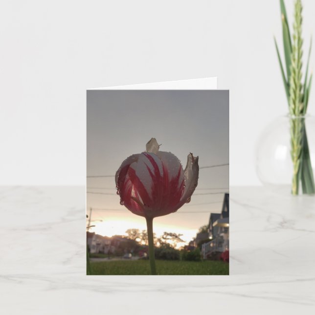 Tarjeta Obtén Un Trabajo Real, Hippie (Anverso)