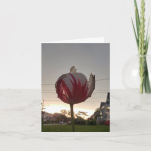 Tarjeta Obtén Un Trabajo Real, Hippie