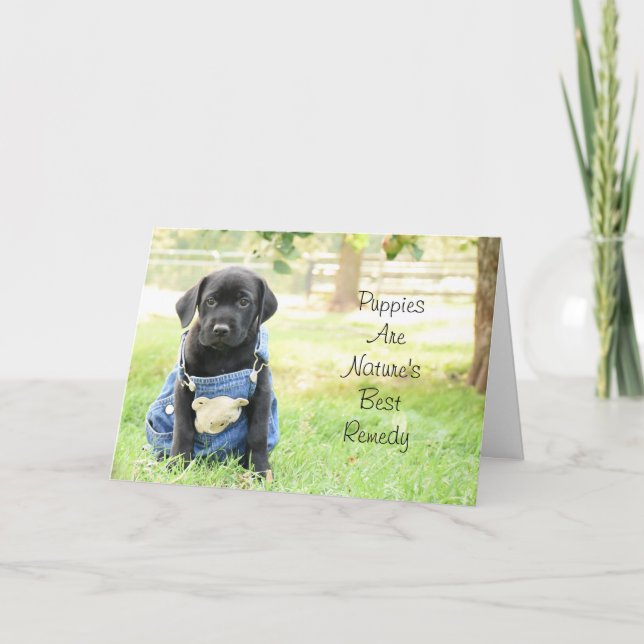 Tarjeta Obtener una buena carta - Los cachorros son el mej (Anverso)