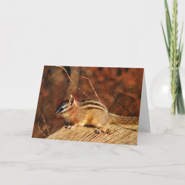 Tarjeta ocasional Chipmunk (Anverso)