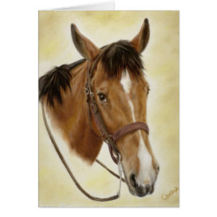 Tarjeta occidental del caballo