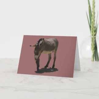 Tarjeta Occidental equino de la ayuda de la condolencia