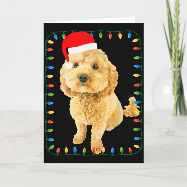 Tarjeta Ochon Puppy Dog Christmas Party Bicho Bichon Odle  (Anverso)