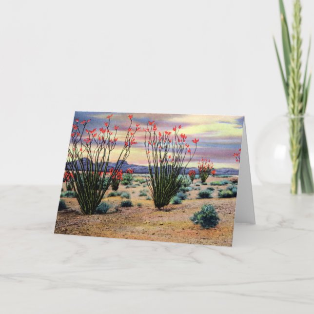 Tarjeta Ocotillos del desierto de Arizona en la floración (Anverso)