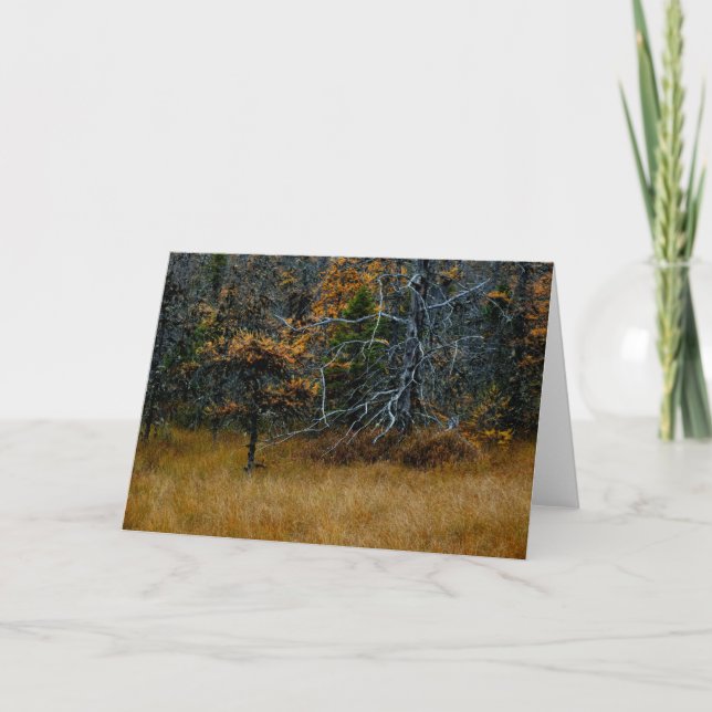 Tarjeta "Octubre" Escena de bosques y árboles Adirondack (Anverso)