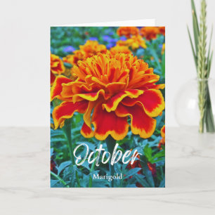 Tarjeta Octubre Flor Mes de Nacimiento Marigold Amarillo