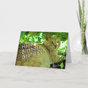 Tarjeta Ocultación del soplo