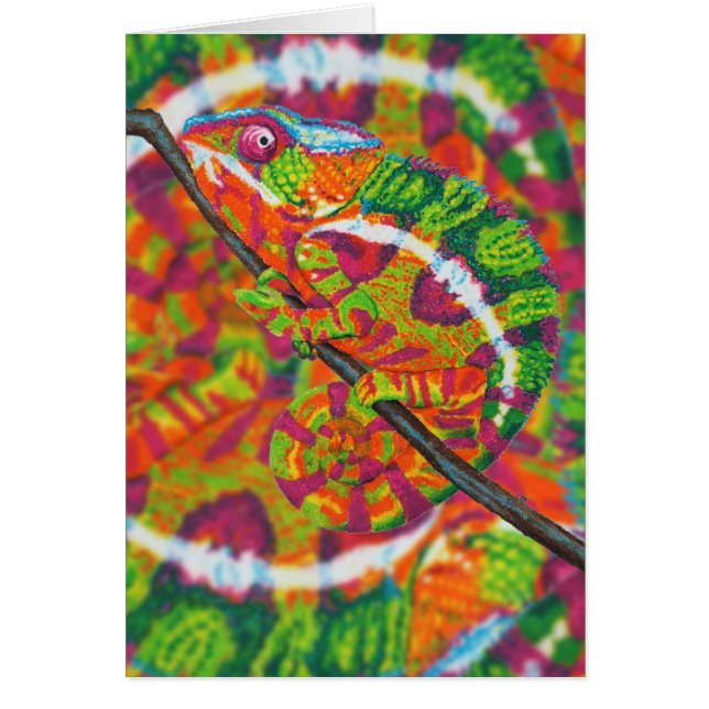 Tarjeta ocultada del camaleón (Frente)