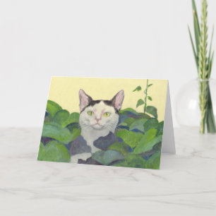 Tarjeta Ocultar y buscar