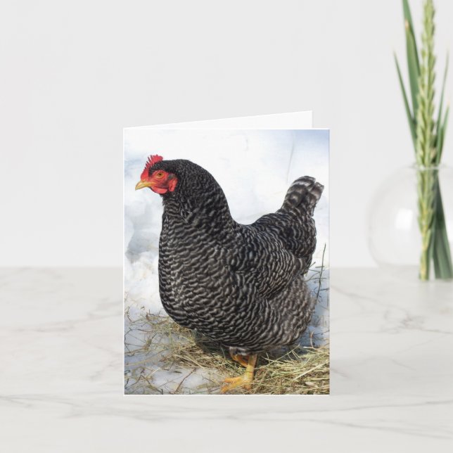 Tarjeta Oda a Ruthie Notecard (Anverso)