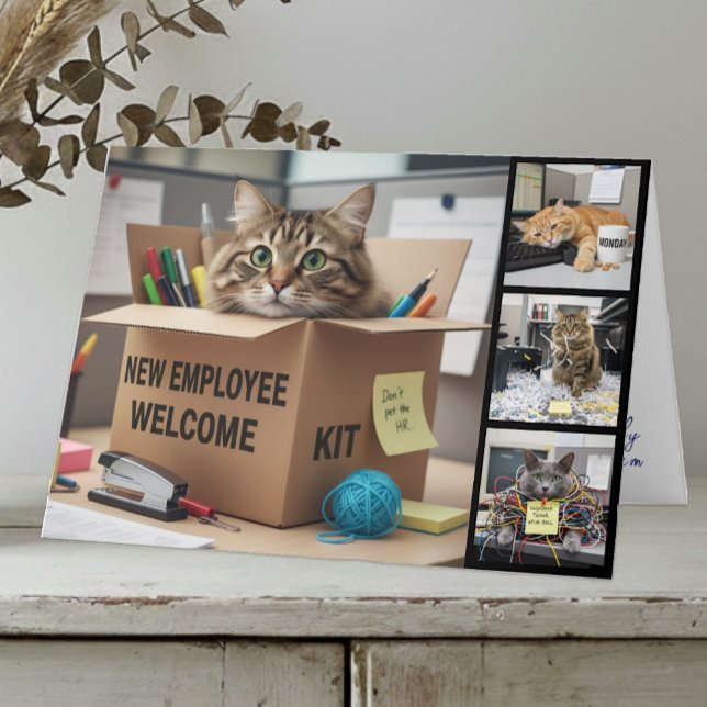 Tarjeta Office Fun Cats Photo Card, Birthday, Cat (Cat meme Photo Card / Fun Office & Business Card)