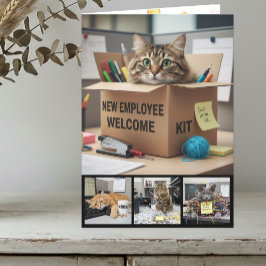 Tarjeta Office Fun Cats Photo Card, Business Cat