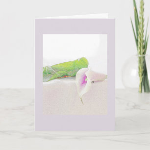 Tarjeta Ofrezca su compasión.