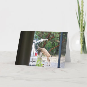 Tarjeta ¡Oh ciervo!