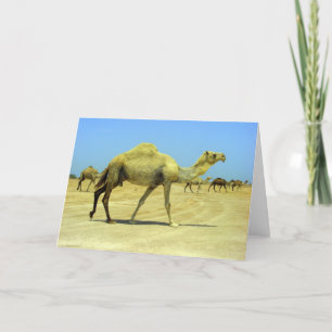Tarjeta Oh día feliz - camellos en el desierto
