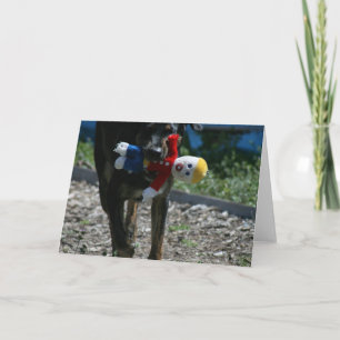 Tarjeta Oh-Ningún Sr. Bill