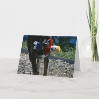 Tarjeta Oh-Ningún Sr. Bill