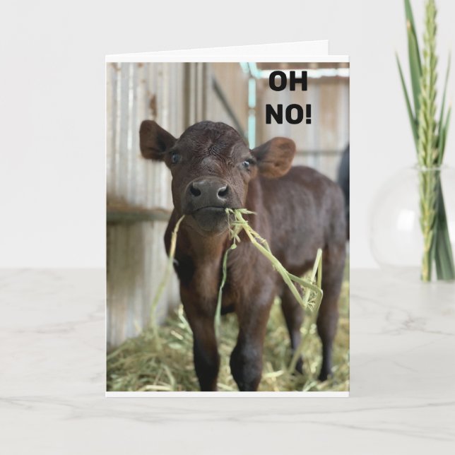 TARJETA OH NO... ERES **40** FELIZ CUMPLEAÑOS (Anverso)