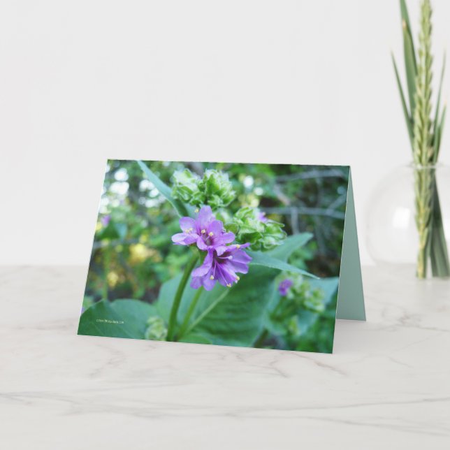 Tarjeta Oh tan púrpura (Anverso)