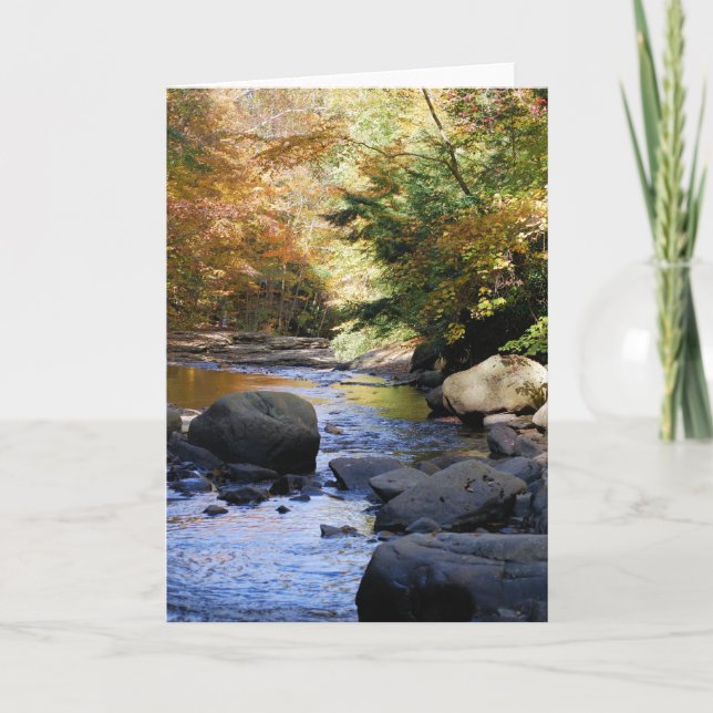 Tarjeta Ohiopyle (Anverso)