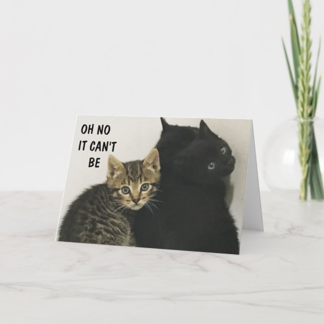 TARJETA ¡¡¡OÍDO QUE "USTEDES" SE ESTÁN VOLVIENDO "60" MEOW (Anverso)