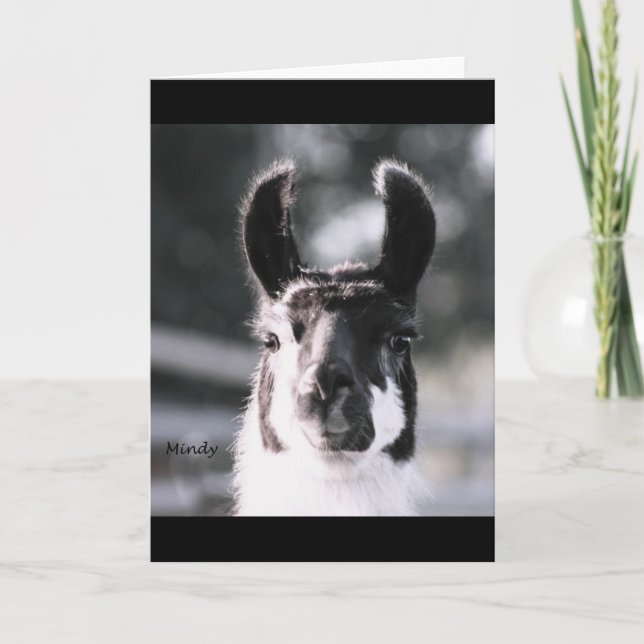 Tarjeta Oídos de la llama (Anverso)