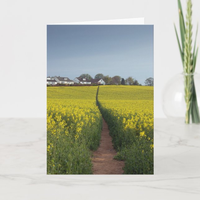 Tarjeta Oil Seed Path Card (Anverso)