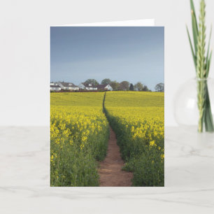 Tarjeta Oil Seed Path Card