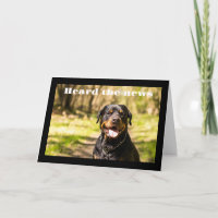 **OÍR QUE ES UN DÍA ESPECIAL** FELIZ CUMPLEAÑOS PA