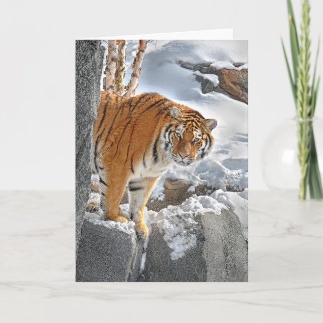 Tarjeta Ojeada del tigre (Anverso)