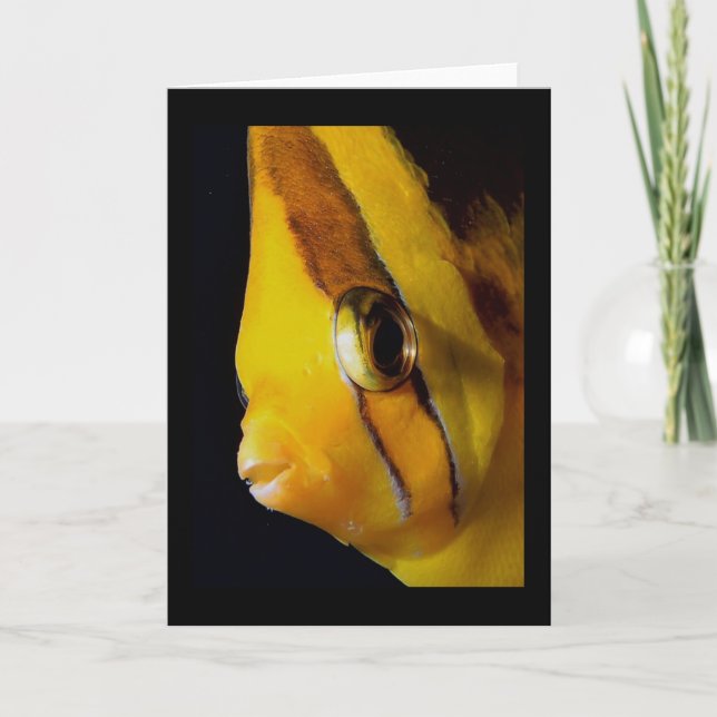 Tarjeta Ojo a ojo (Anverso)