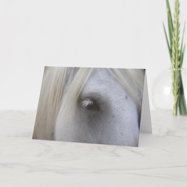 Tarjeta Ojo de la Ponía de la caída (Anverso)