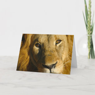 Tarjeta Ojo de Shaka del león