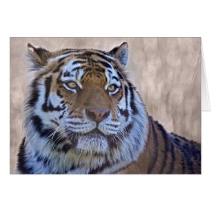 Tarjeta Ojo de Tigre