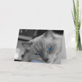 Tarjeta Ojos azules
