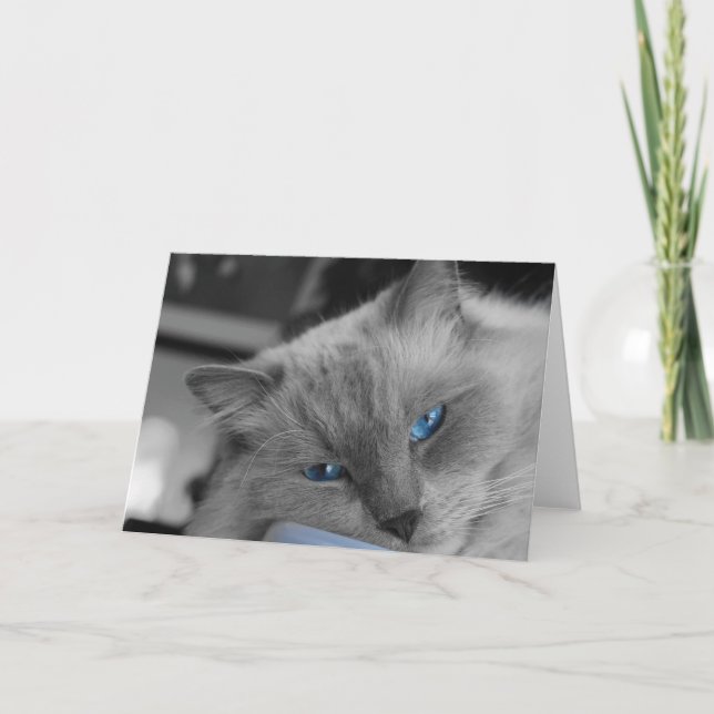 Tarjeta Ojos azules (Anverso)