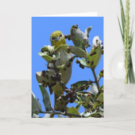 Tarjeta Ojos blancos japoneses me miran