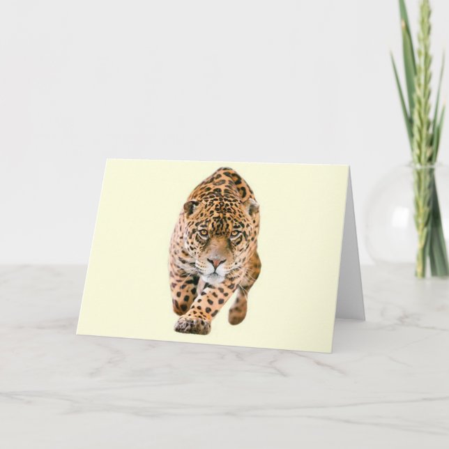 Tarjeta Ojos de Jaguar que caminan (Anverso)