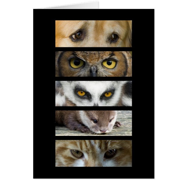 Tarjeta - ojos de los animales (Frente)