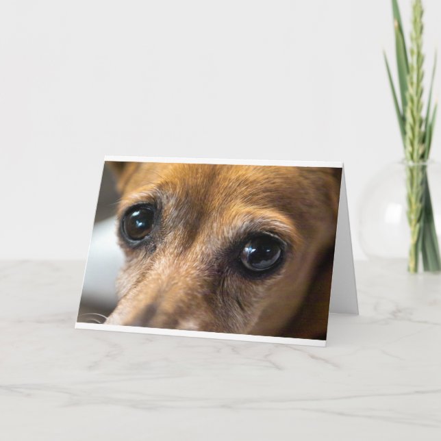 Tarjeta Ojos del perro (Anverso)