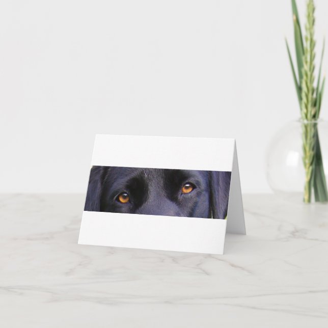 Tarjeta Ojos negros réflex (Anverso)