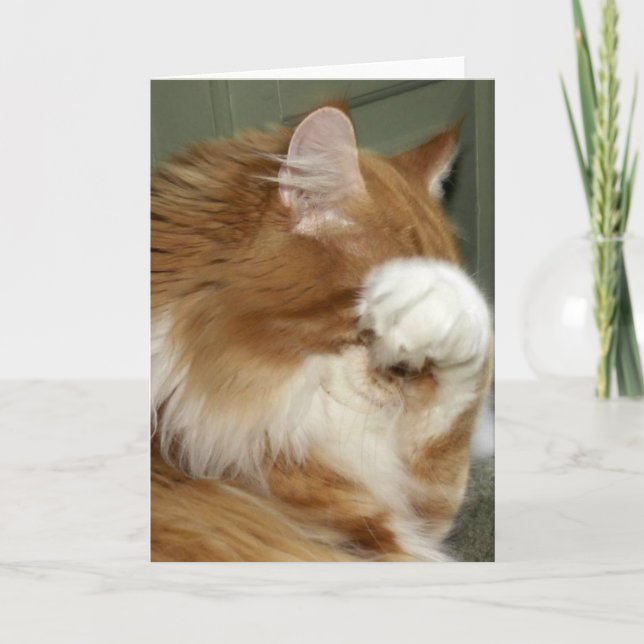 Tarjeta Ojos que cubren gatos (Anverso)
