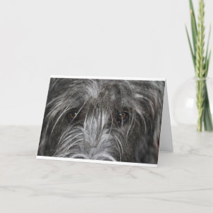 Tarjeta Ojos que hipnotizan