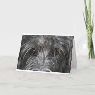 Tarjeta Ojos que hipnotizan