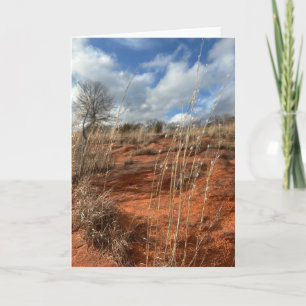 Tarjeta Oklahoma Prairie - en blanco