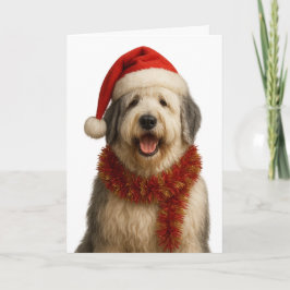 Tarjeta Old English Sheepdog in a Santa hat Christmas card