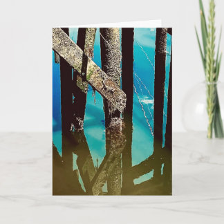 Tarjeta Old Wharf Pier Barnacle Beams Posts Pilings Card